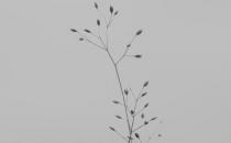 遇到这些原因一定要辞职了