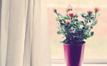 女强人爱发脾气 如何拥有好心情？