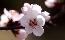 减压方法助你快乐工作