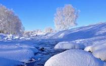 在职场被上司冷淡要怎么办？