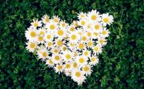 职场女强人应该具备的心理素质