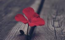 遇到愤怒的事情要如何平复心情？