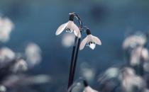 大学生初入职场如何自我调节