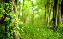 坏工作比没工作对心理健康危害更大