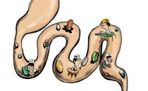 男性进补固然重要但勿忘排毒