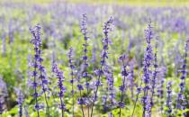 身在职场必须明白的“潜规则”