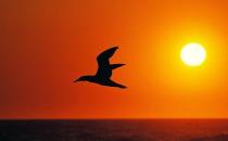 经验分享：见习生对职场的感悟