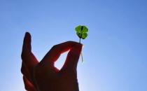 职场新人别太狂傲 细数新人狂傲事例