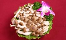 蟹味菇的营养价值 蟹味菇的做法大全