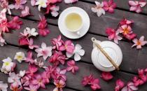 花草茶的功效与作用 花茶的种类搭配