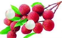 男人保持私处健康15常识