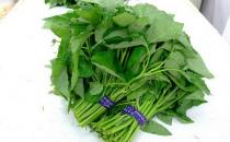 藤藤菜是什么？藤藤菜的做法