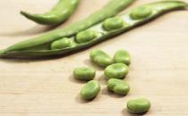 吃新鲜蚕豆真的很危险吗？