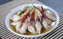 海兔的营养价值 海兔的做法