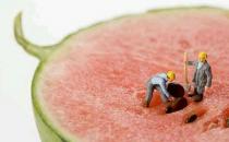 嫁接的西瓜不能吃吗？