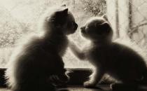 肩并肩的沟通有时会更好