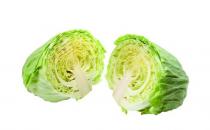 卷心菜可保护正接受放疗的癌症患者