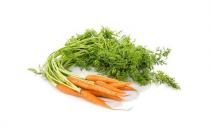 烹调胡萝卜不放油行不行？