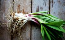 如何吃葱营养最佳？