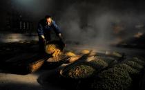 为你解答酿制葡萄酒的几个疑问