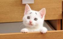 头痛也会增加自杀风险？