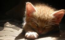 心理疗法帮你克服强迫症