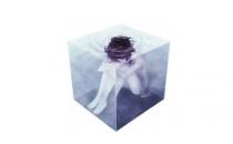 癔症的临床表现有哪些