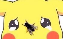 强迫症可通过食疗来缓解