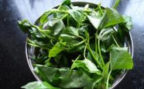 清淡的木耳菜帮你开胃