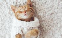 如何解决拖延症？