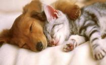 这样睡觉给你长寿