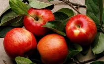 能够降低血脂的5款食物