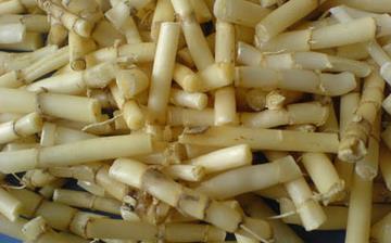 【白茅根】白茅根的功效与作用及禁忌_白茅根泡水的药用价值