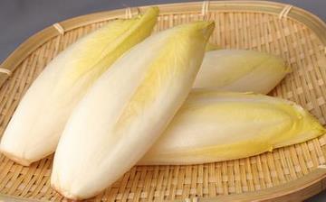 【菊苣】菊苣的营养价值_菊苣怎么做好吃_菊苣的做法大全