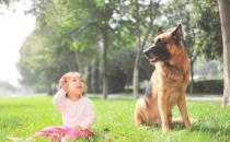 夏季如何预防宝宝中暑？