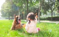 宝宝晕车咋办？宝宝能吃晕车药吗？