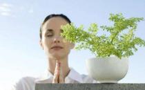 黄帝内经教你如何养生