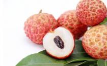 荔枝核竟能帮助女性养生