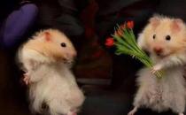 教你如何从约会看出对方的内心