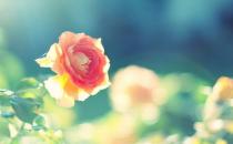 幸福夫妻都有这些好习惯