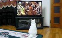 3个坏习惯竟比抽烟更致癌？