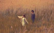 约会的绝招你都掌握了么？