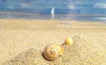 爱情问题帮你决定是否还要继续