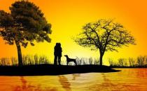 如何获得一见钟情的爱情