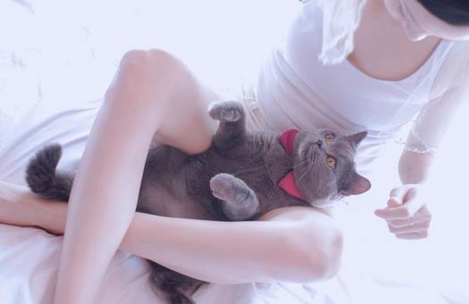 生男孩排卵期计算器是啥