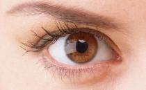 一日三餐均衡饮食帮你吃出好视力