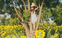 卵子的存活时间有多久