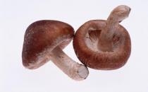 香菇的营养价值与营养吃法