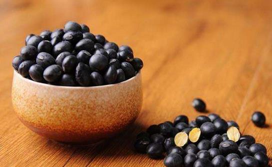 黑大豆皮的功效与作用 药用价值