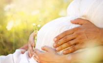 孕妇吃了甲鱼会怎样